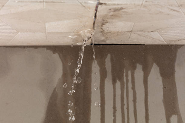 Professional Sewage Cleanup technician working in Water Mill, NY
